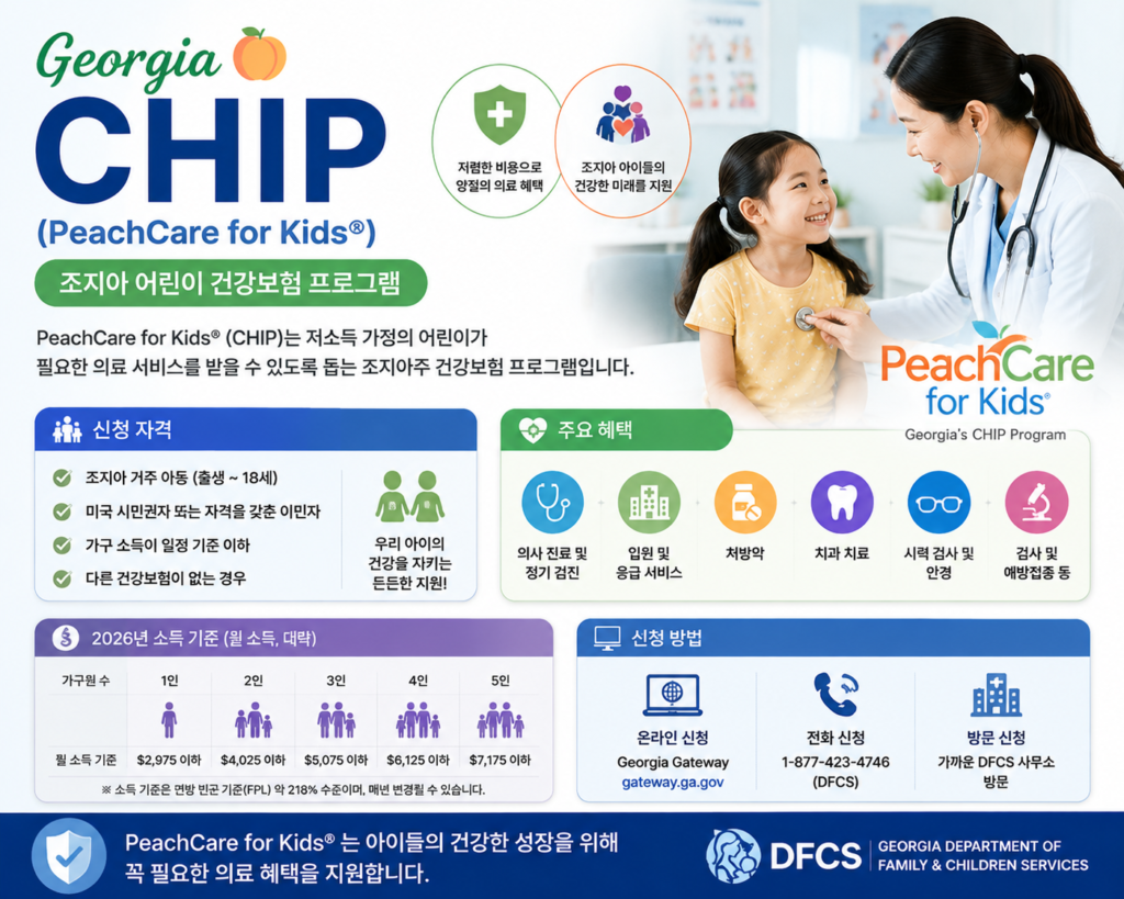 조지아 정부 지원 프로그램 chip 소개하는 이미지