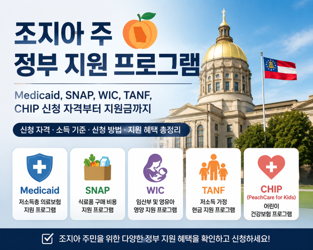 조지아 정부 지원 프로그램 medicaid, snap, wic, tanf, chip 소개하는 이미지