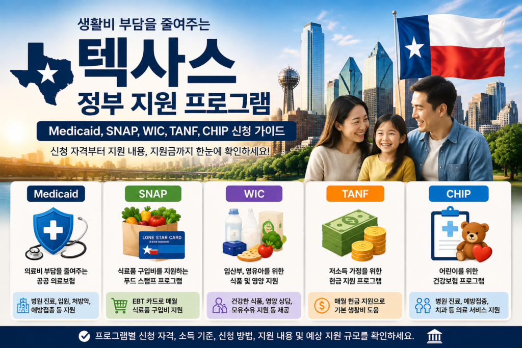 텍사스 정부 지원 프로그램 medicaid, snap, wic, tanf, chip 소개하는 이미지