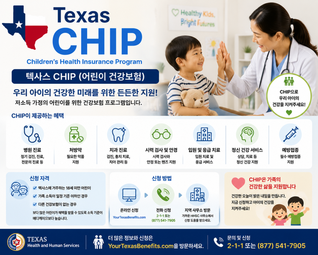 텍사스 정부 지원 프로그램 chip 소개하는 이미지