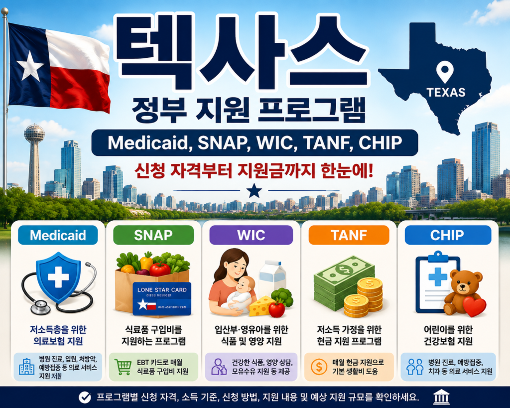 텍사스 정부 지원 프로그램 소개하는 이미지