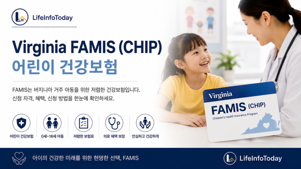버지니아 정부 지원 프로그램 중 chip 소개하는 이미지