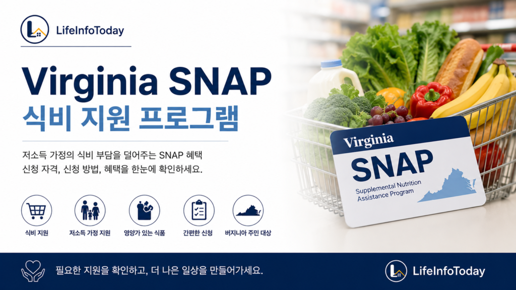 버지니아 정부 지원 프로그램 중 snap 소개하는 이미지