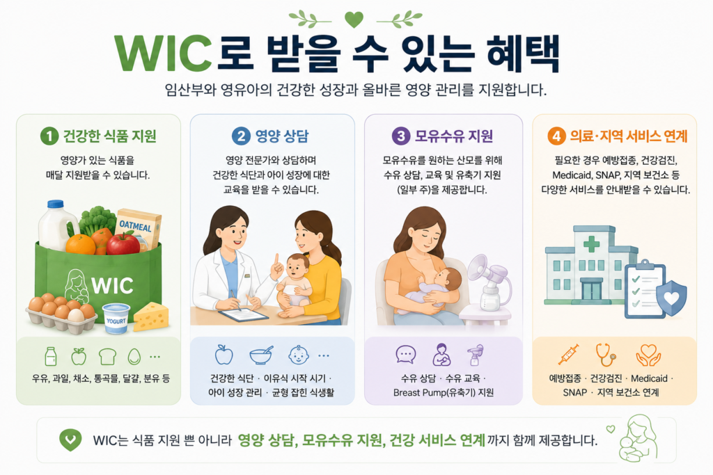 미국 wic 프로그램으로 받을 수 있는 혜택 설명하는 이미지